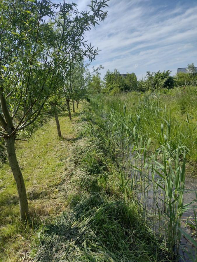 Tuinhuisje In Het Groen Almere Exterior photo